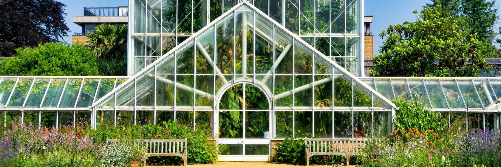 Jardin botanique de l'université de Cambridge